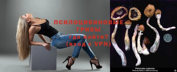 гашик Балабаново