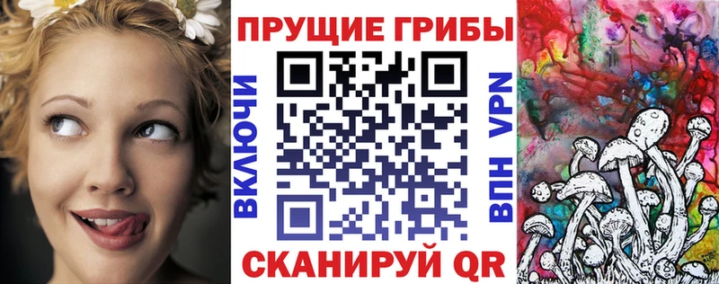 где купить наркоту  дарк нет клад  Галлюциногенные грибы Psilocybine cubensis  Никольск 
