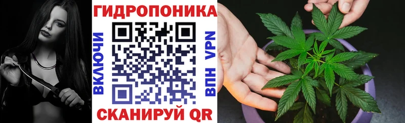 где продают   Никольск  Бошки Шишки семена 